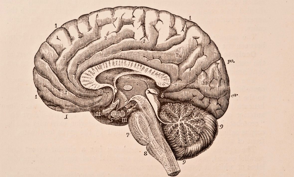 Ik heb een nieuwe functie als Jobcoach Neurodivergentie bij Defensie Ondersteuningscommando Ministerie van Defensie! #WerkenbijDefensie