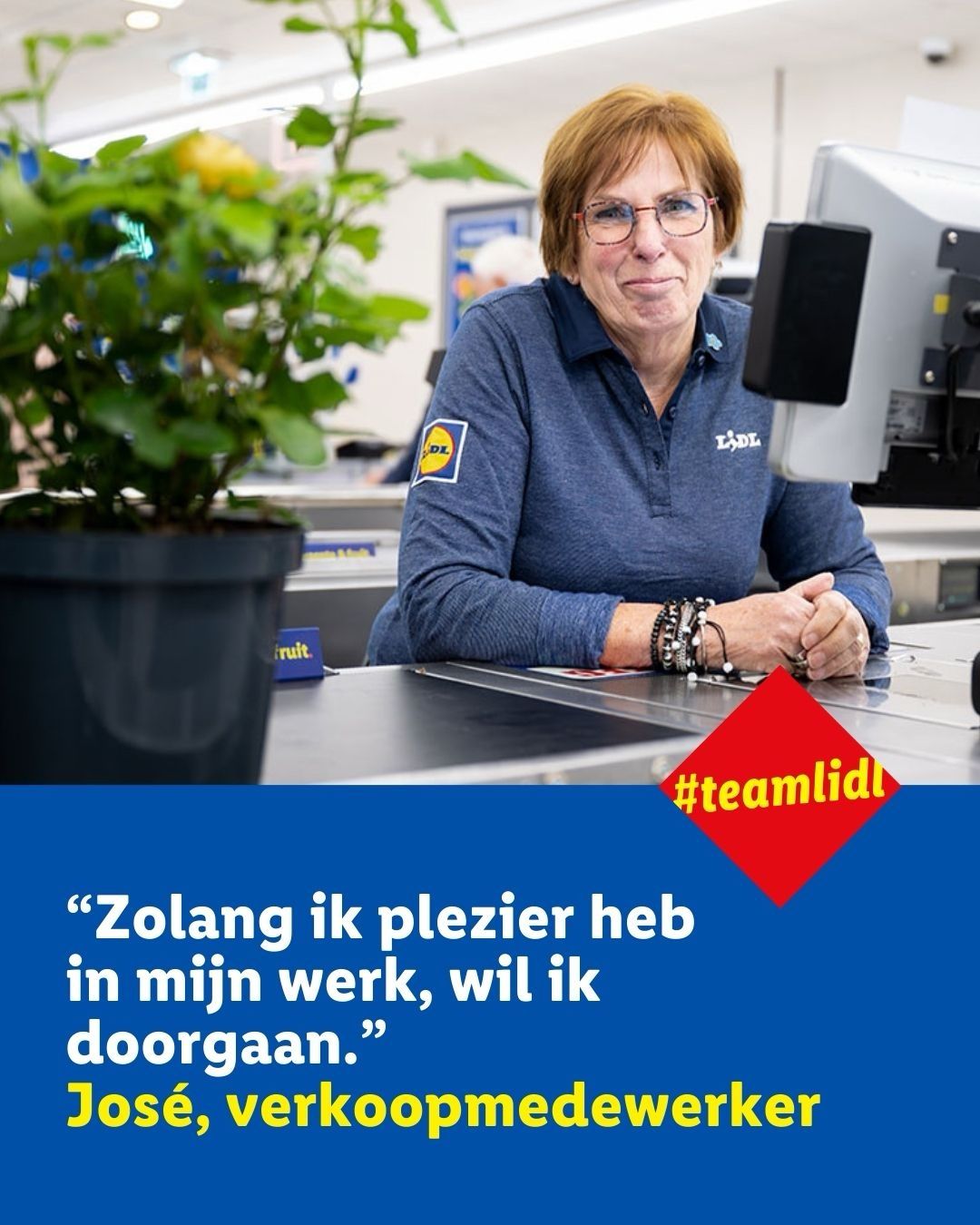 Vandaag zet ik graag onze collega José in de spotlight ❤️ 💛 💙 Zij kon met pensioen, maar had nog teveel zin om door te werken. Ze heeft veel plezier in haar werk en kan zelf bepalen wanneer en hoeveel zij kan werken, zo doen we dat bij Lidl Nederland! De link naar haar verhaal staat in de comments ⬇️ #teamlidl #werkenbijlidl #jeverdientt
