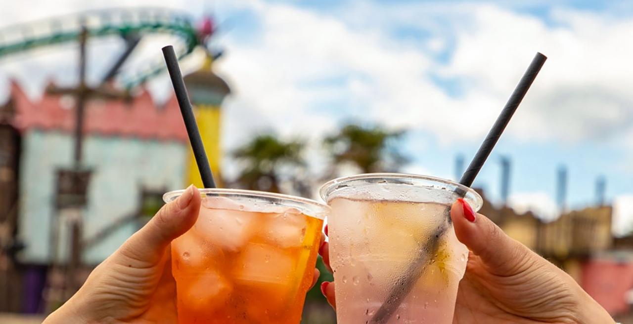 Op kosten van de belastingbetaler een dagje zuipen in #Toverland... 😫
https://lnkd.in/eA6iJ65T