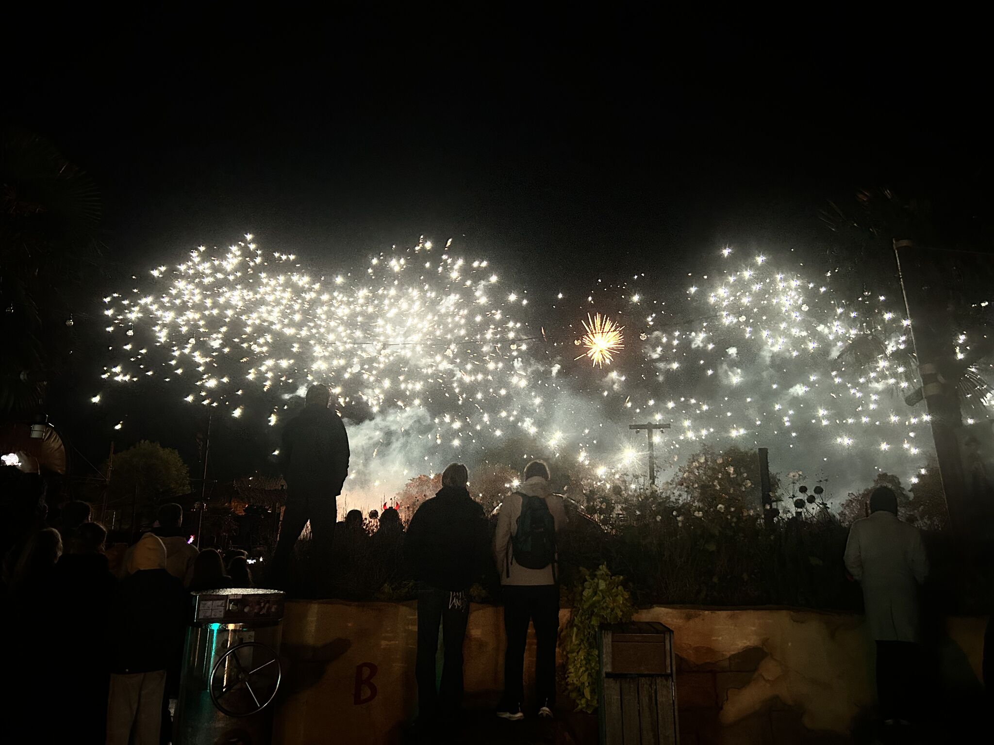 Dat waren mijn favoriete visiemanager dagen bij Attractiepark Toverland, Halloween 🎃 

De sfeer die er in het park is, de compleet andere doelgroep die je dan mag verwelkomen (verliefde pubers, stoerdoenerij, gegil) en al die fantastische karakters. Heerlijk! 

Afgelopen week zijn we dan ook even als gast lansggegaan. En ik kan niet meer zeggen dan: WAUW! 🤩

Sinds mijn laatste Halloween jaar (2018) is het nóg zoveel mooier geworden. De grime, de kostuums, de parade, de huizen. 

En wat ik ook erg leuk vindt, is dat Toverland steeds meer in mijn TikTok loop verscheen dit jaar. Van de zone fiesta de los muertos waar iedereen lekker zat te dansen, tot aan de zelf geschreven muziek van de zone Unmasked: Waltzthrough waar iedereen fan van is!

Ga zeker nog langs nu het nog kan 👻 

Ohja en mocht je je afvragen wat een visiemanager is? 
Niets anders dan een parkmanager die er verantwoordelijk voor is dat alles soepel verloopt, waarbij de keuzes gemaakt worden vanuit de visie: magische gelukservaringen creëren! 🪄 

#Halloween #Toverland